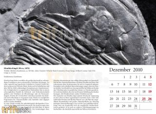 Fossilienkalender 2010
