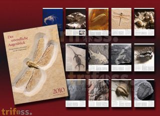 Fossilienkalender 2010