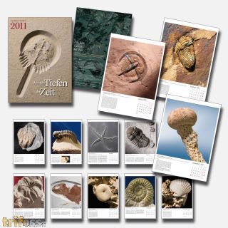 Fossilienkalender 2011