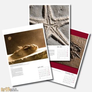 Fossilien Kalender 2012