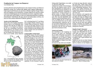 Der Steinkern - Issue 8