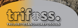 Trifoss - Trilobites and more Fossils
