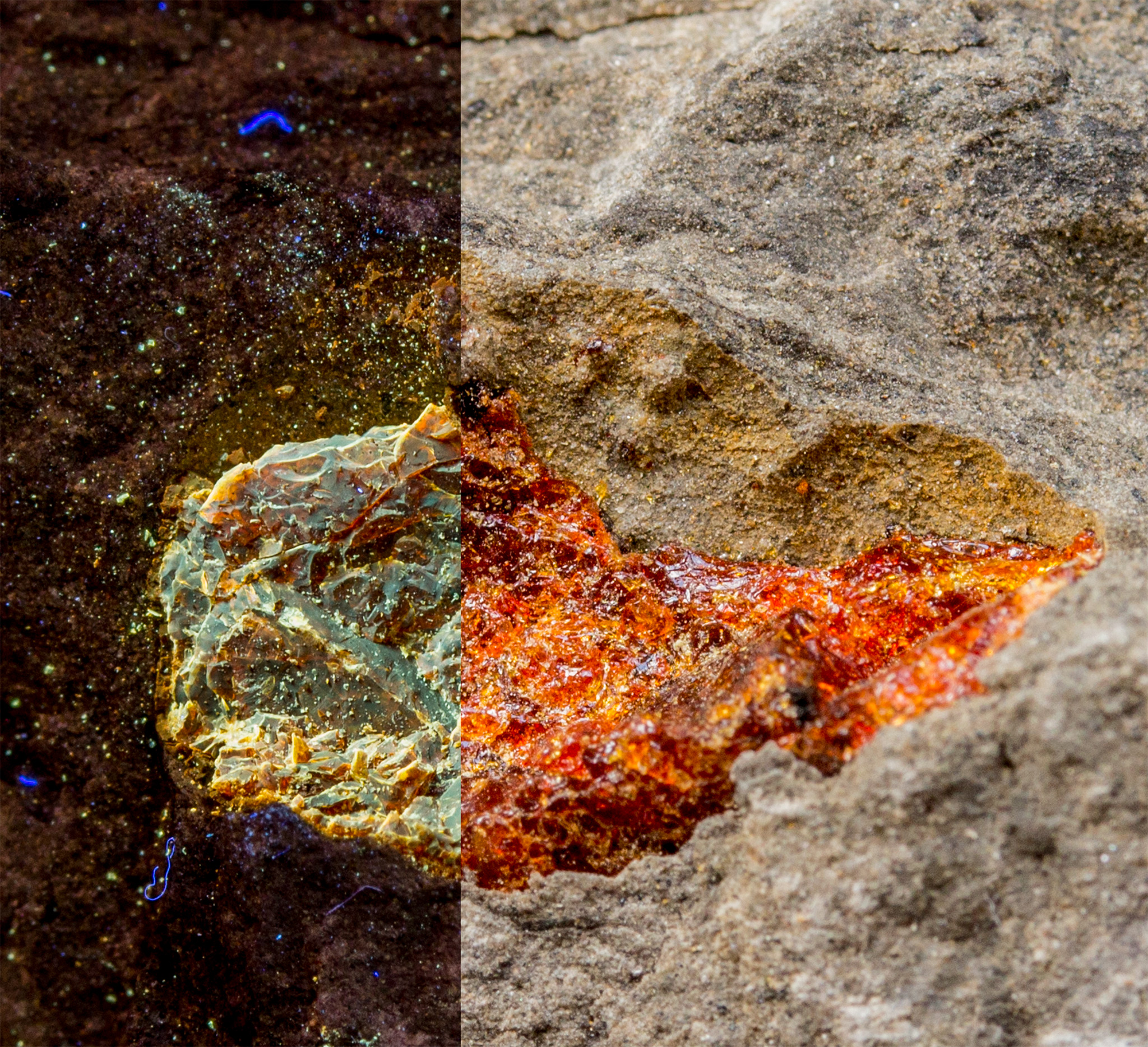 Plaffeiite - Alpine Amber