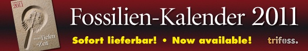 Fossilienkalender 2011