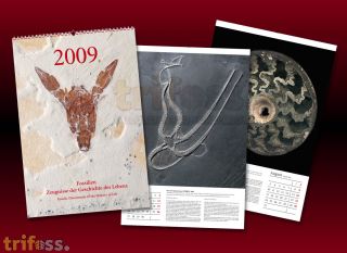 Fossil calender 2009