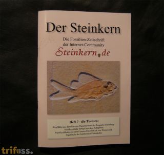 Der Steinkern - Heft 7
