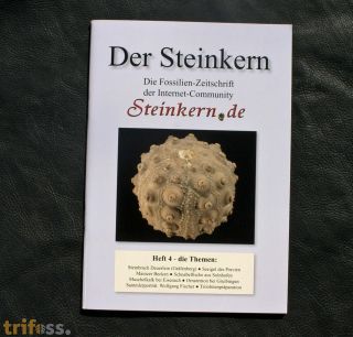 Der Steinkern - Heft 4