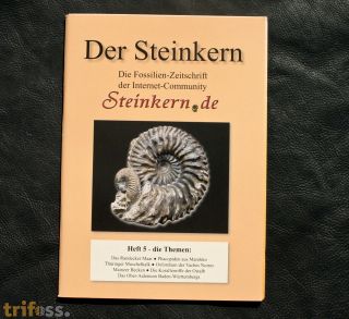 Der Steinkern - Heft 5