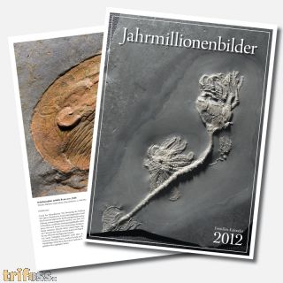 Fossilien Kalender 2012