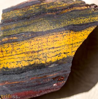 Microbialite Banded Iron Formation (BIF)