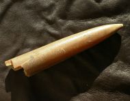 Logonibelus (Cylindroteuthis)  kostromensis (GERASIMOV, 1960)