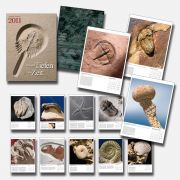 Fossil calender 2011