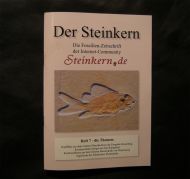 Der Steinkern - Issue 7