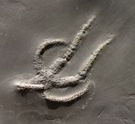 Urasterella asperula (Roemer, 1863)