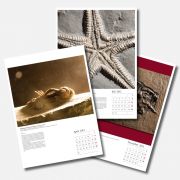 Fossilien Kalender 2012