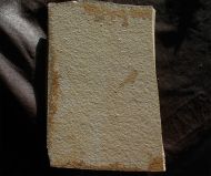 Mesuropetala cf muensteri GERMAR 1839