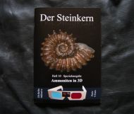 Der Steinkern - Issue 10