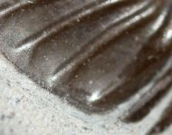 Scabriscutellum hammadi CHATTERTON et al., 2006