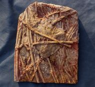 Scyphocrinites elegans (Zenker, 1833)