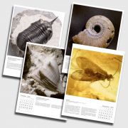 Fossilien-Kalender 2016
