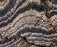 Stromatolith ?Aspetia aff. digitata a (Grey 1984)