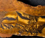 Tigereisen - Banded Iron Formatio (BIF) - Mikrobialith