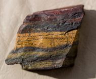 Microbialite Banded Iron Formation (BIF)