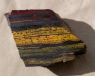 Microbialite Banded Iron Formation (BIF)