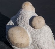 Echinocorys gravesii (Desor, 1847) & Conulus subrotundus Mantell, 1822