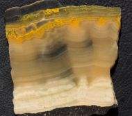 Microbialite - Bumble Bee