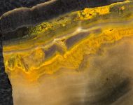 Microbialite - Bumble Bee