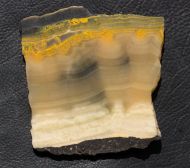 Microbialite - Bumble Bee