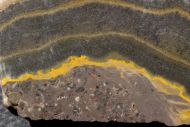 Microbialite - Bumble Bee