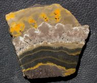 Microbialite - Bumble Bee