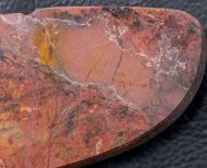 Pilbaria perplexa Walter, 1972