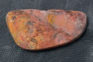 Pilbaria perplexa Walter, 1972
