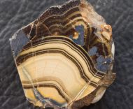 Schalenblende