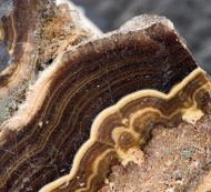 Schalenblende