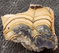 Sphalerite - Schalenblende