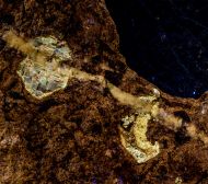 Plaffeiite - Alpine Amber
