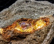 Plaffeiite - Alpine Amber