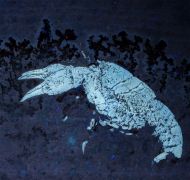 Eryma punctatum Oppel, 1861