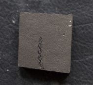 Otovicia hypnoides (Brongniart, 1849)