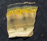 Microbialite - Bumble Bee