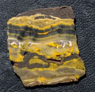 Microbialite - Bumble Bee