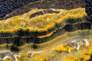 Microbialite - Bumble Bee