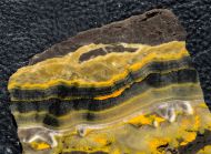 Microbialite - Bumble Bee