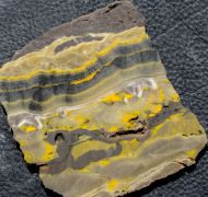 Microbialite - Bumble Bee